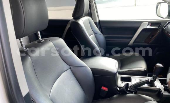 اشتري مستعمل Toyota Land Cruiser Prado White سيارة في Maseru في Maseru اشتري مستعمل Toyota Land Cruiser Prado White سيارة في Maseru في Maseru