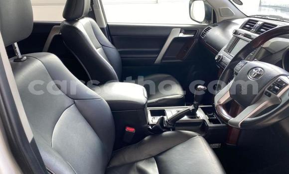 اشتري مستعمل Toyota Land Cruiser Prado White سيارة في Maseru في Maseru اشتري مستعمل Toyota Land Cruiser Prado White سيارة في Maseru في Maseru
