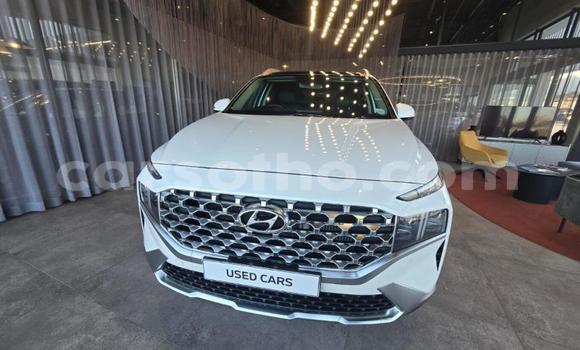 Sayi Na hannu Hyundai Santa Fe White Mota in Maseru a Maseru Sayi Na hannu Hyundai Santa Fe White Mota in Maseru a Maseru