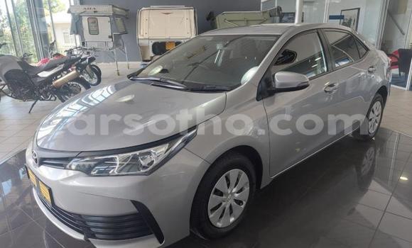 اشتري مستعمل Toyota Corolla Silver سيارة في Maseru في Maseru اشتري مستعمل Toyota Corolla Silver سيارة في Maseru في Maseru