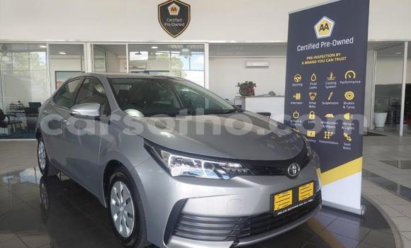 اشتري مستعمل Toyota Corolla Silver سيارة في Maseru في Maseru اشتري مستعمل Toyota Corolla Silver سيارة في Maseru في Maseru