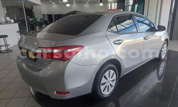 اشتري مستعمل Toyota Corolla Silver سيارة في Maseru في Maseru اشتري مستعمل Toyota Corolla Silver سيارة في Maseru في Maseru