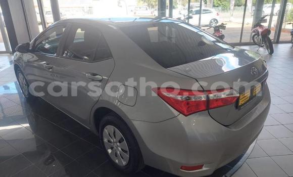 اشتري مستعمل Toyota Corolla Silver سيارة في Maseru في Maseru اشتري مستعمل Toyota Corolla Silver سيارة في Maseru في Maseru
