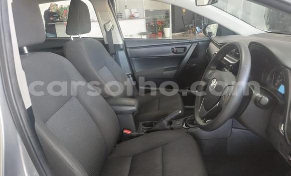 اشتري مستعمل Toyota Corolla Silver سيارة في Maseru في Maseru اشتري مستعمل Toyota Corolla Silver سيارة في Maseru في Maseru