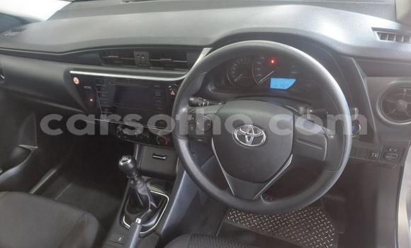 اشتري مستعمل Toyota Corolla Silver سيارة في Maseru في Maseru اشتري مستعمل Toyota Corolla Silver سيارة في Maseru في Maseru