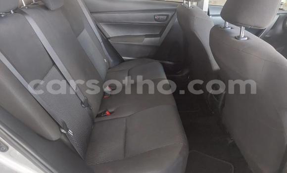 اشتري مستعمل Toyota Corolla Silver سيارة في Maseru في Maseru اشتري مستعمل Toyota Corolla Silver سيارة في Maseru في Maseru