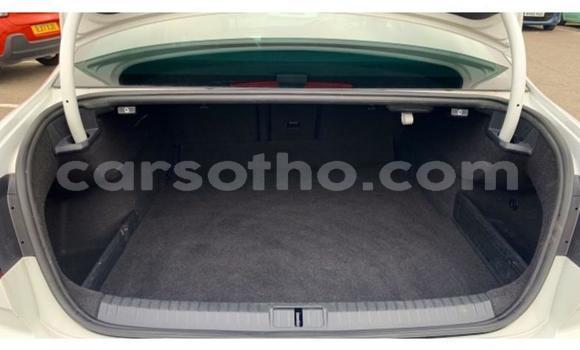 Buy Used Volkswagen Passat White Car in Thaba–Tseka in Mafeteng Buy Used Volkswagen Passat White Car in Thaba–Tseka in Mafeteng