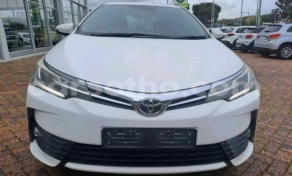 اشتري مستعمل Toyota Corolla White سيارة في Maseru في Maseru
