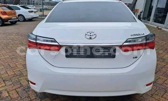 Sayi Na hannu Toyota Corolla White Mota in Maseru a Maseru Sayi Na hannu Toyota Corolla White Mota in Maseru a Maseru
