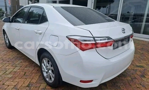 Sayi Na hannu Toyota Corolla White Mota in Maseru a Maseru Sayi Na hannu Toyota Corolla White Mota in Maseru a Maseru