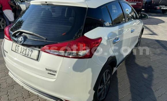 اشتري مستعمل Toyota Yaris White سيارة في Maseru في Maseru اشتري مستعمل Toyota Yaris White سيارة في Maseru في Maseru