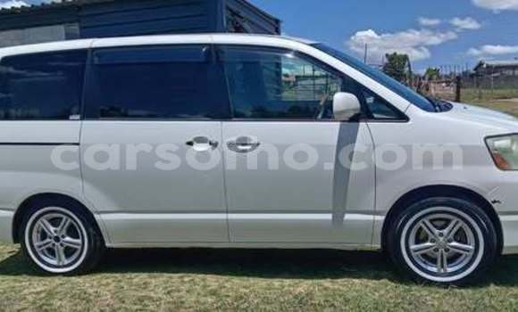 Sayi Na hannu Toyota Alphard White Mota in Maseru a Maseru Sayi Na hannu Toyota Alphard White Mota in Maseru a Maseru