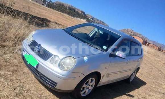 Acheter Occasion Voiture Volkswagen Polo Autre à Maseru, Maseru Acheter Occasion Voiture Volkswagen Polo Autre à Maseru, Maseru