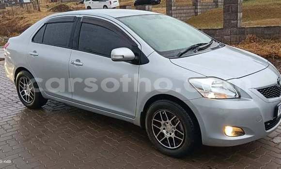 اشتري مستعمل Toyota Belta Other سيارة في Maseru في Maseru اشتري مستعمل Toyota Belta Other سيارة في Maseru في Maseru