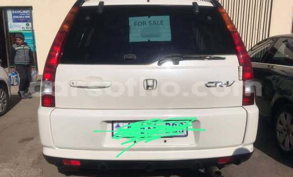 اشتري مستعمل Honda CR–V White سيارة في Maseru في Maseru اشتري مستعمل Honda CR–V White سيارة في Maseru في Maseru