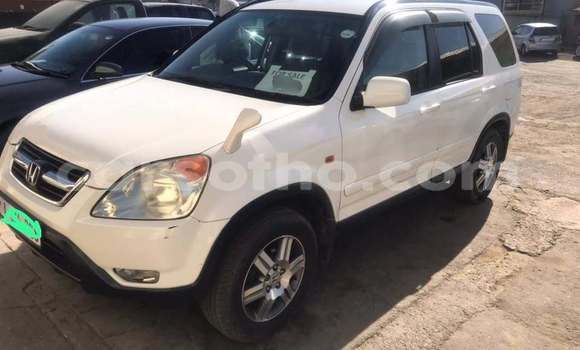 اشتري مستعمل Honda CR–V White سيارة في Maseru في Maseru اشتري مستعمل Honda CR–V White سيارة في Maseru في Maseru