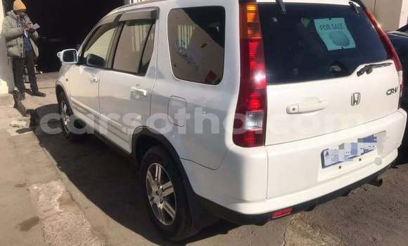 اشتري مستعمل Honda CR–V White سيارة في Maseru في Maseru اشتري مستعمل Honda CR–V White سيارة في Maseru في Maseru