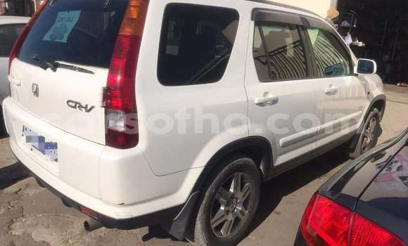 اشتري مستعمل Honda CR–V White سيارة في Maseru في Maseru اشتري مستعمل Honda CR–V White سيارة في Maseru في Maseru