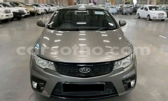 SAHARA  Cars for sale in lesotho - carsotho