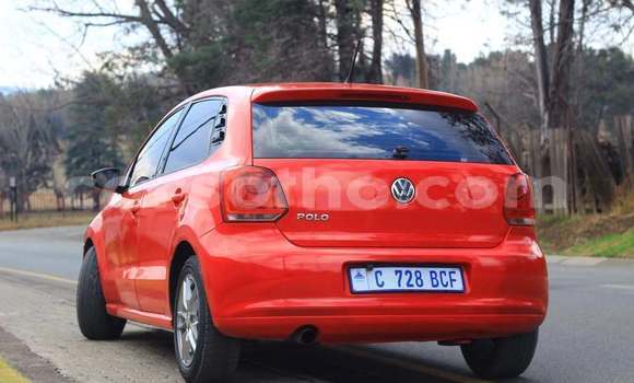 اشتري مستعمل Volkswagen Polo Red سيارة في Maseru في Maseru اشتري مستعمل Volkswagen Polo Red سيارة في Maseru في Maseru