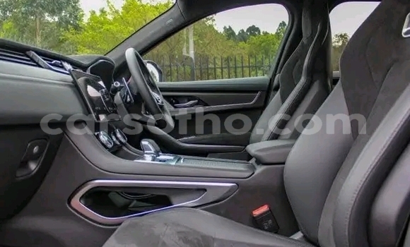اشتري مستعمل Jaguar E-Pace Other سيارة في Maseru في Maseru اشتري مستعمل Jaguar E-Pace Other سيارة في Maseru في Maseru