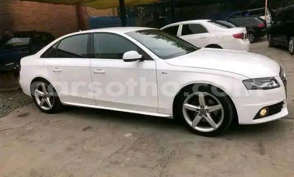 اشتري مستعمل Audi A4 Other سيارة في Maseru في Maseru اشتري مستعمل Audi A4 Other سيارة في Maseru في Maseru