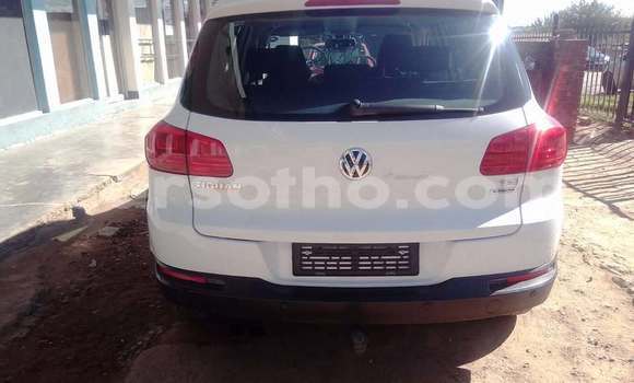 اشتري مستعمل Volkswagen Tiguan White سيارة في Maseru في Maseru اشتري مستعمل Volkswagen Tiguan White سيارة في Maseru في Maseru