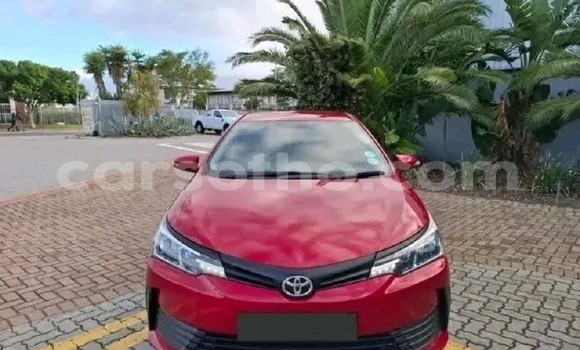Buy Used Toyota Corolla Red Car in Maseru in Maseru