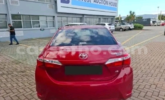 Acheter Occasion Voiture Toyota Corolla Rouge à Maseru, Maseru Acheter Occasion Voiture Toyota Corolla Rouge à Maseru, Maseru