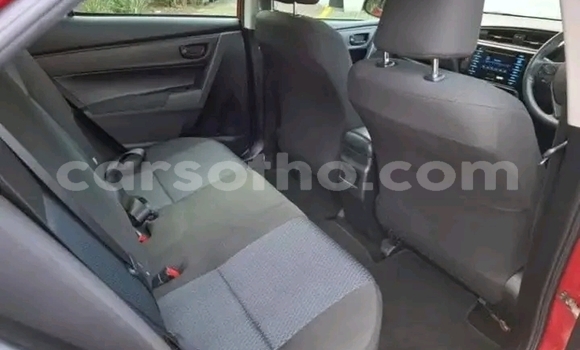 Acheter Occasion Voiture Toyota Corolla Rouge à Maseru, Maseru Acheter Occasion Voiture Toyota Corolla Rouge à Maseru, Maseru