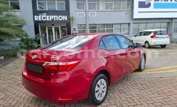 Acheter Occasion Voiture Toyota Corolla Rouge à Maseru, Maseru Acheter Occasion Voiture Toyota Corolla Rouge à Maseru, Maseru