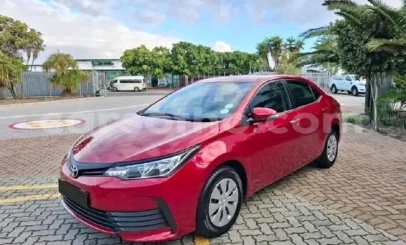 Acheter Occasion Voiture Toyota Corolla Rouge à Maseru, Maseru Acheter Occasion Voiture Toyota Corolla Rouge à Maseru, Maseru