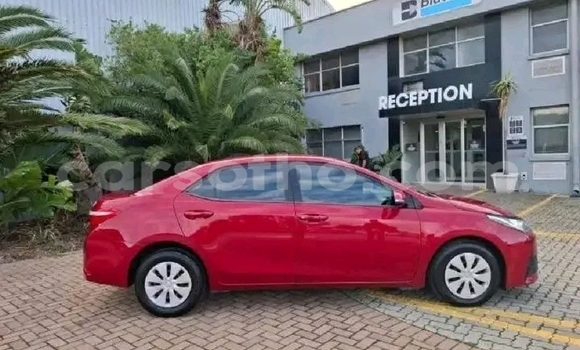 Acheter Occasion Voiture Toyota Corolla Rouge à Maseru, Maseru Acheter Occasion Voiture Toyota Corolla Rouge à Maseru, Maseru