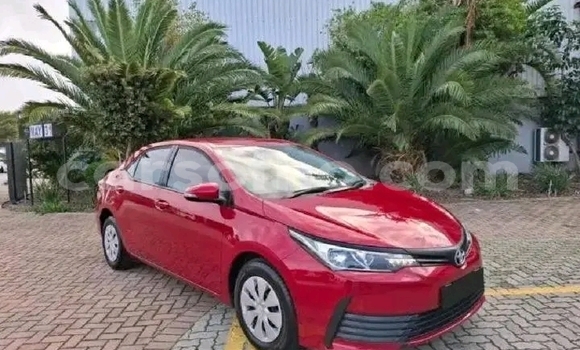 Acheter Occasion Voiture Toyota Corolla Rouge à Maseru, Maseru Acheter Occasion Voiture Toyota Corolla Rouge à Maseru, Maseru