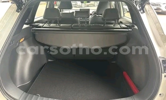 Buy Used Toyota Corolla White Car in Maseru in Maseru Buy Used Toyota Corolla White Car in Maseru in Maseru