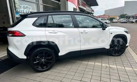 Buy Used Toyota Corolla White Car in Maseru in Maseru Buy Used Toyota Corolla White Car in Maseru in Maseru