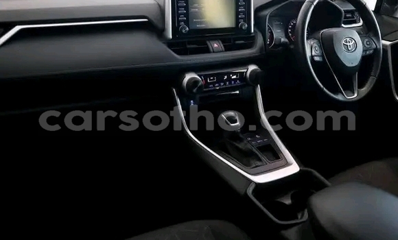 Buy Used Toyota RAV4 White Car in Maseru in Maseru Buy Used Toyota RAV4 White Car in Maseru in Maseru