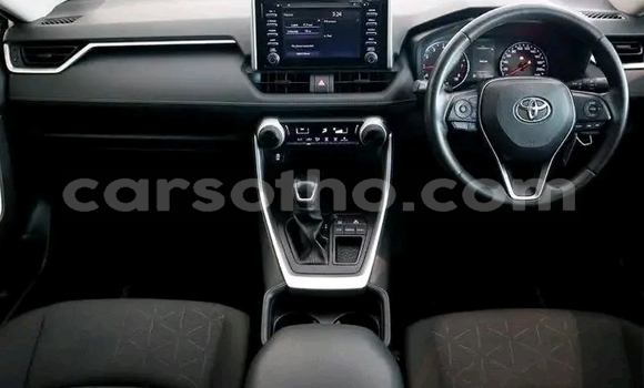 Buy Used Toyota RAV4 White Car in Maseru in Maseru Buy Used Toyota RAV4 White Car in Maseru in Maseru