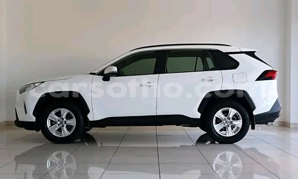 Buy Used Toyota RAV4 White Car in Maseru in Maseru Buy Used Toyota RAV4 White Car in Maseru in Maseru