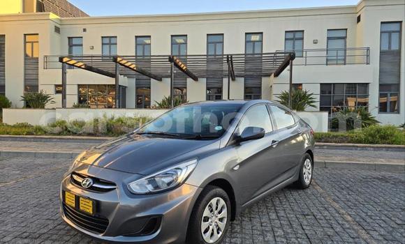 Buy Used Hyundai Accent Other Car in Maseru in Maseru