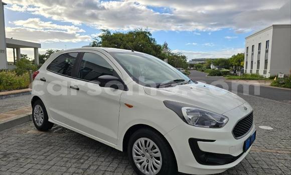 Buy Used Ford Focus White Car in Maseru in Maseru