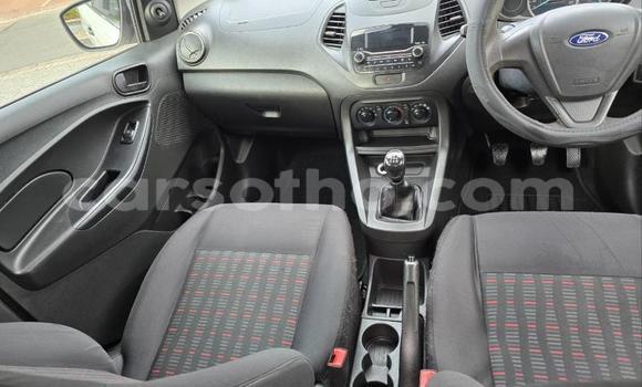 Sayi Na hannu Ford Focus White Mota in Maseru a Maseru Sayi Na hannu Ford Focus White Mota in Maseru a Maseru