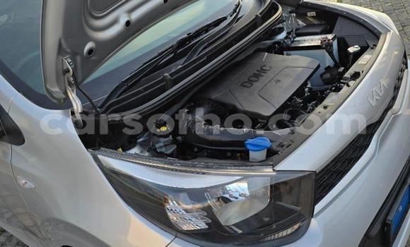 Sayi Na hannu Kia Picanto Silver Mota in Maseru a Maseru Sayi Na hannu Kia Picanto Silver Mota in Maseru a Maseru