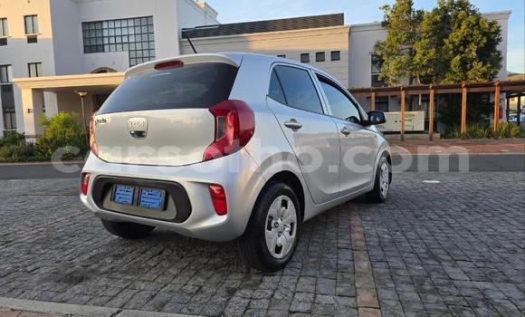 Sayi Na hannu Kia Picanto Silver Mota in Maseru a Maseru Sayi Na hannu Kia Picanto Silver Mota in Maseru a Maseru