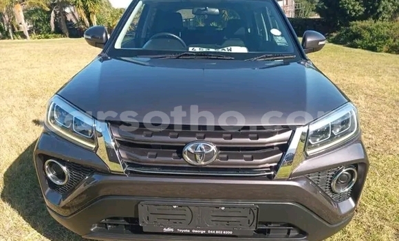 Buy Used Toyota Urban Cruiser Other Car in Maseru in Maseru