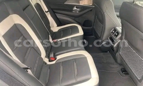 اشتري مستعمل Mercedes-Benz AMG GLE Silver سيارة في Maseru في Maseru اشتري مستعمل Mercedes-Benz AMG GLE Silver سيارة في Maseru في Maseru