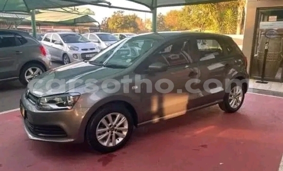 Buy Used Volkswagen Polo Other Car in Maseru in Maseru Buy Used Volkswagen Polo Other Car in Maseru in Maseru