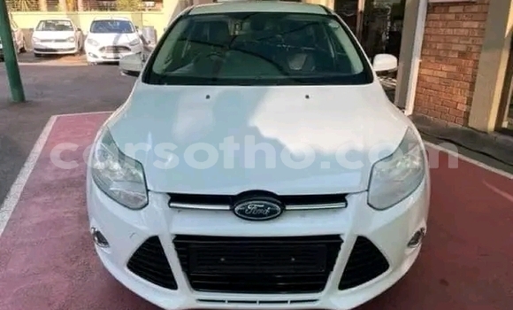 Buy Used Ford Focus White Car in Maseru in Maseru