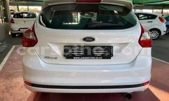 Buy Used Ford Focus White Car in Maseru in Maseru Buy Used Ford Focus White Car in Maseru in Maseru