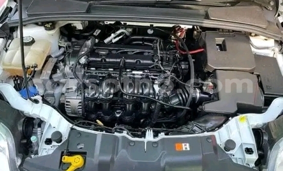 Buy Used Ford Focus White Car in Maseru in Maseru Buy Used Ford Focus White Car in Maseru in Maseru